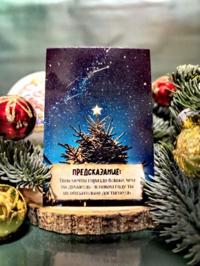 �� ������ ���� �������� 12 �����