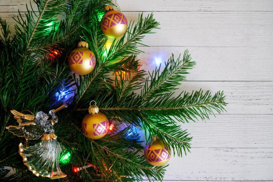 "��������� ������������! ������� ������������ � ���������� ���������