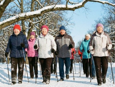 ����������� ������� �������������� � ������ ����������� ��������� ������ �����