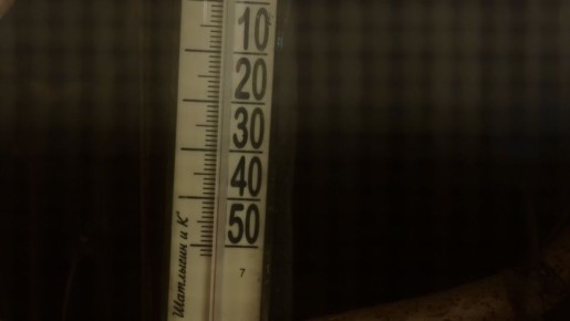 ���� ����� ���������� ���� �� ��������� �� ������