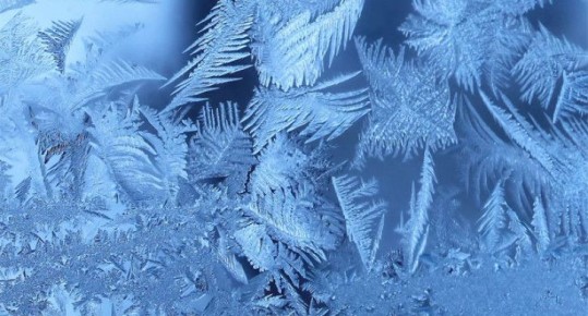 ������ ������� � ������ ����������� ������� 17 ������ 2026 ����