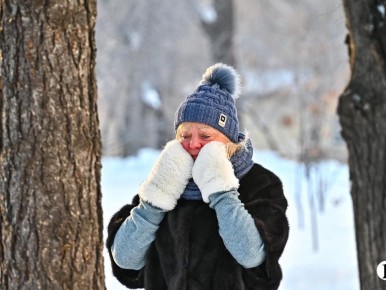 ������� ����� ��� ������ ����� ������� ������������ ������� 22�������