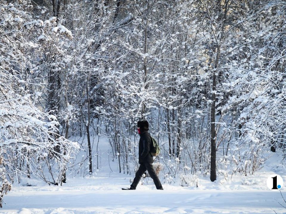 ������� ������ ������� ���� ���������� ������������ ������� 24�������