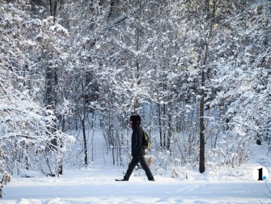 Крепкие морозы и слабый снег задержатся в Челябинской области 24 января