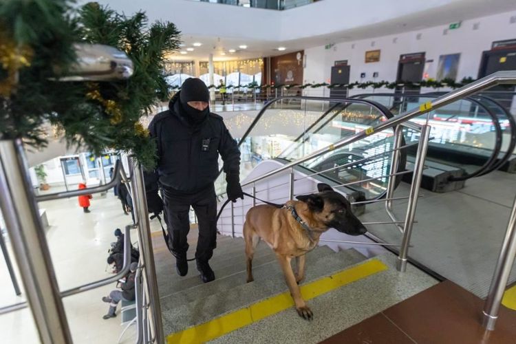 ������������ ���������� ������������ ������ ��������������� ��������� ���� � ������� ����������� �������