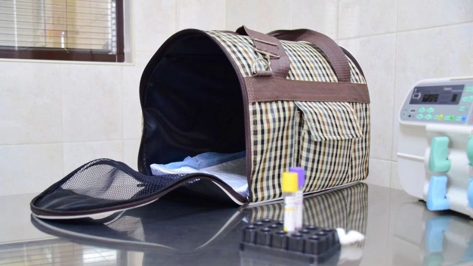 ����� ��������� ���������� � �������������, ������������ � ��������� ����������