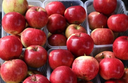 В Челябинскую область ввезли 690 тонн импортных овощей и фруктов