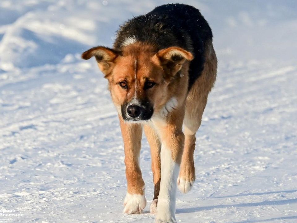 � ������������� ����� �������� �����������