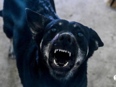 � �������� ����������� ������ ����� �������� ��?�� ��������� ����� �������