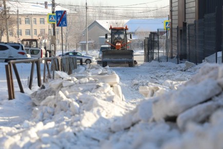 ������ ������ ������