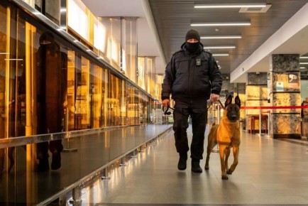 ���������� ���������� ������ ������� �� ����� ��������������� ��������� ���� � �������������