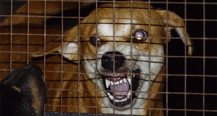 � ������������� � ��������� ������� ��������� ������������ ��������� ��������