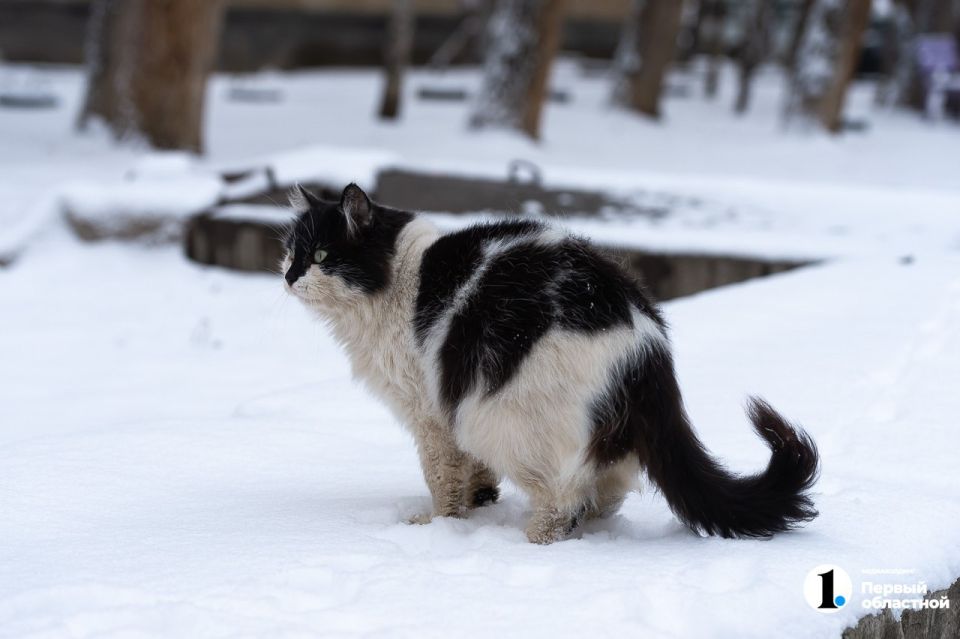 � �������������, ���������, ��������� ����� �������� �� ���������