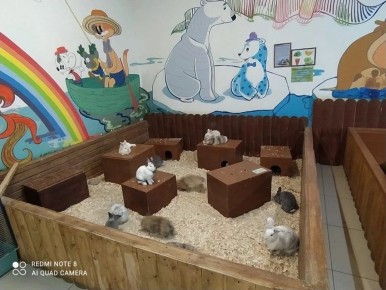 ���������� �� �������: �������� ����������� �������� �������� ������� �� ������ ��� ��������