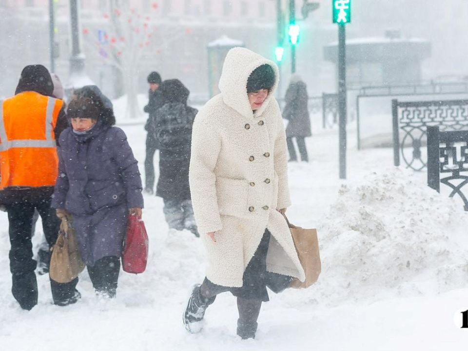 ������ �������� ������ ������������� ������� 20��������