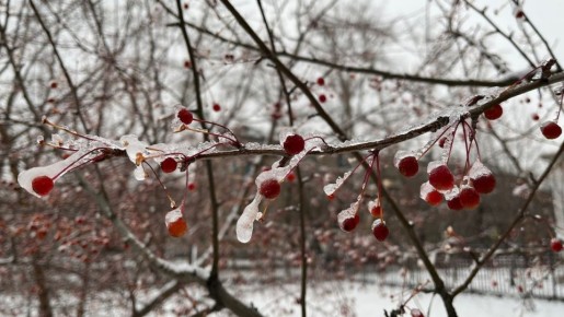 Синоптики рассказали о погоде в марте в Челябинской области