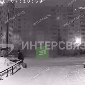 СК возбудил уголовное дело после нападения бездомных собак на жительницу Магнитогорска