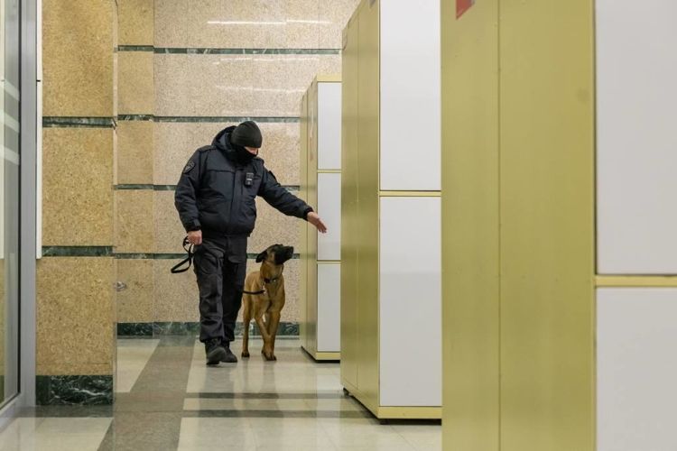 � ����������� ������� ������������ ���������� ������������ ��������� ������