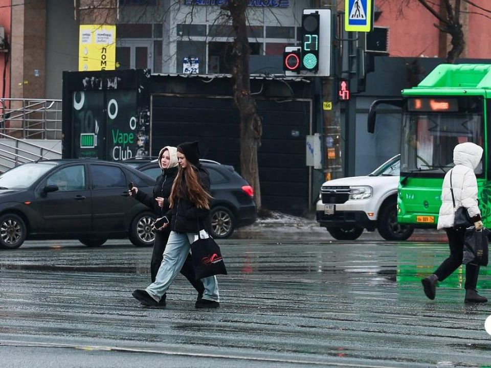 Воздух в Челябинской области прогреется до 0°C 24 февраля