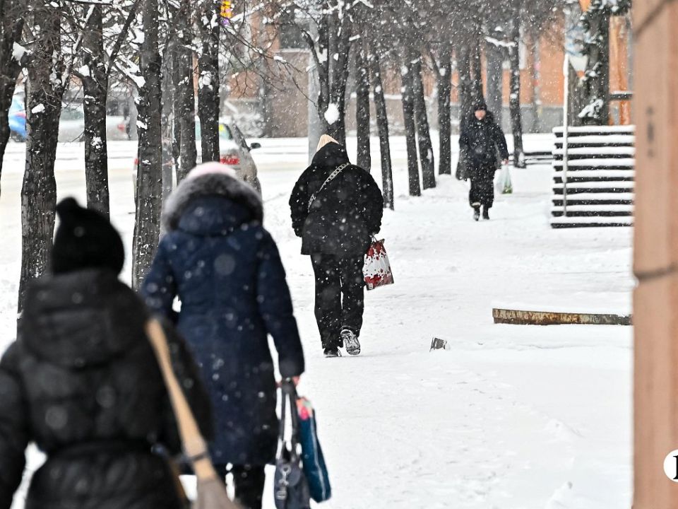 Зима попрощается с южноуральцами умеренно морозной и снежной погодой