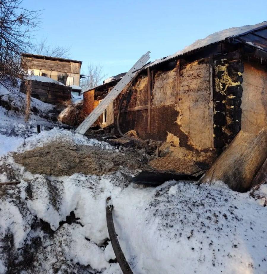 На пожаре в Пласте погибли два человека На пожаре в Пласте погибли два человека