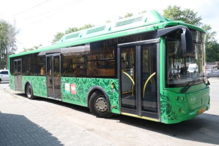 На Южном Урале запустят 17 льготных садовых маршрутов