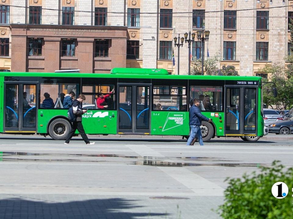 В 2026 году традиционные садовые маршруты запустят в Челябинской области с мая