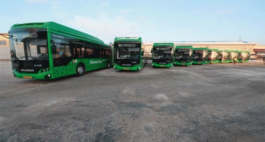 Весной в Челябинской области запустят 34 садовых маршрута