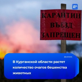 ������� ����� ���������������� �� �������