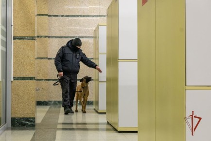 �� ����� ����� ���������� ���������� ���������� ������������ ����� ��������������� ��������� ����