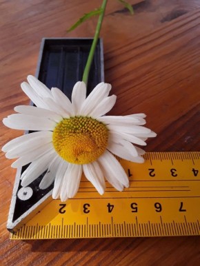 ������������ � �������������: ��� ��������� ����� ��-�������