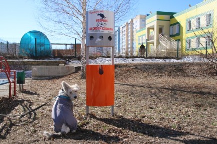 «Минное поле»