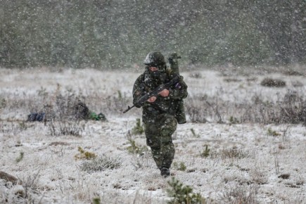 ��������� �������� ��� ���������� ��������� ������������ ���������: ����� ��������� ������