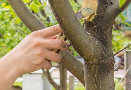 ��� ������� ������� ���: ������� ��� ������� ��������