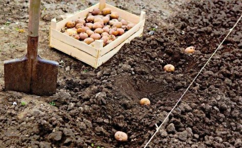 ��� �������� ��������� ������ ��������� � ������� ������� ���������