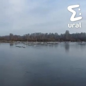 ��� �������� ����������� ����������� �������, ���� ���������� ������� ������������ � ���������� � ��������