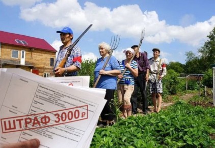 Разоблачение мифов о штрафах для дачников: что действительно запрещено в 2026 году?