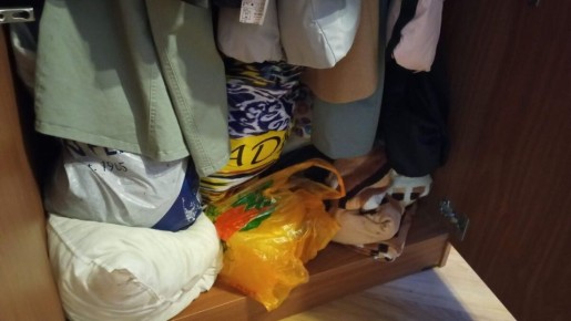 Как избежать судьбы накопителя: уроки из жизни родственницы