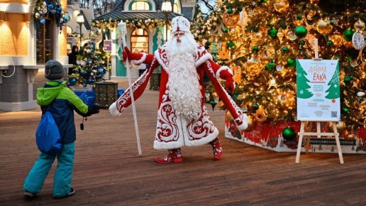 Новый год в режиме экономии