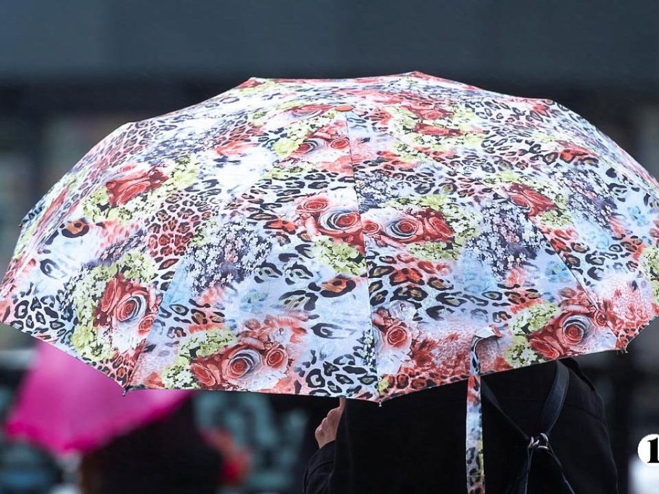 ����� ������ �� ����� ������ � ����������� ������� 3 ������