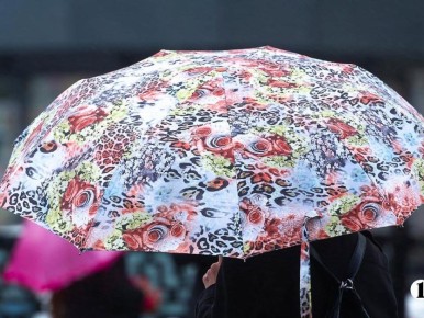 ����� ������ �� ����� ������ � ����������� ������� 3 ������