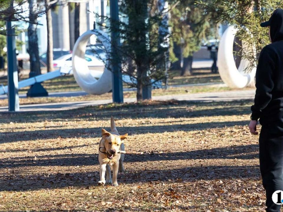 � ����������� ������� 5 ������ ��������� ��������� � ������ ������