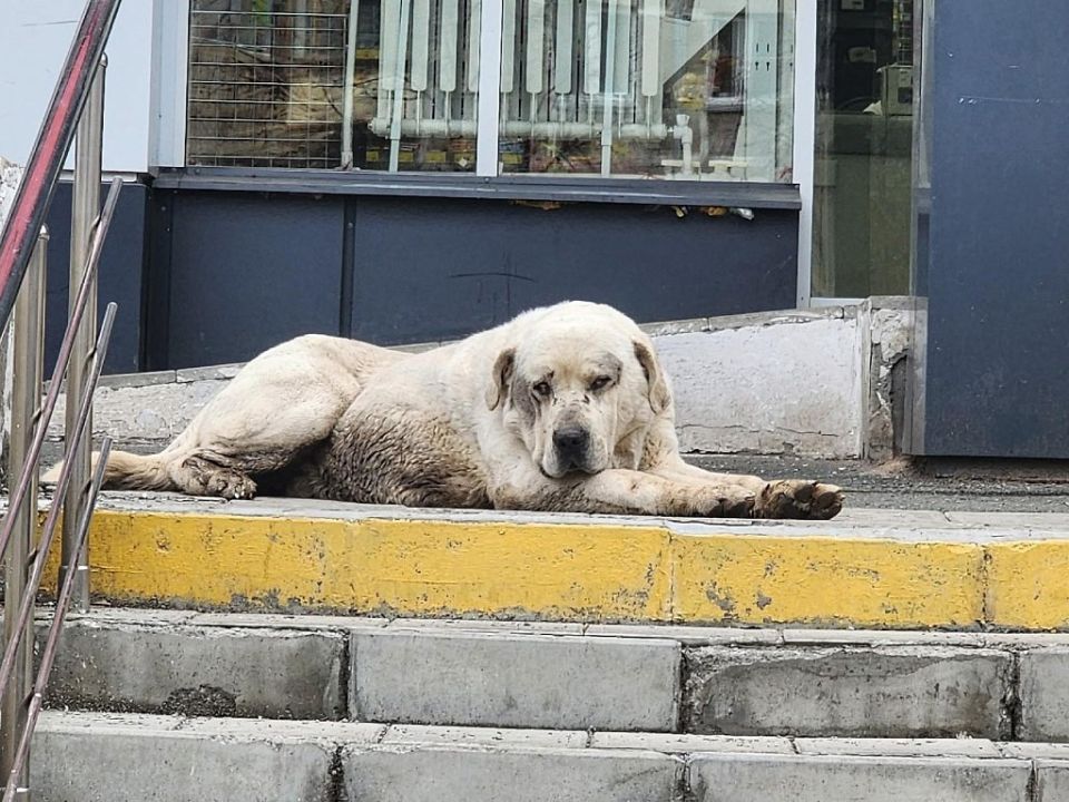 � ������������� ������ ����� ���� ������� �������� ������������� � ��������