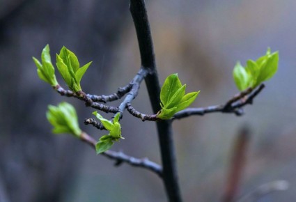 �� +22 �������� ��������� � ���������� ��� ����� ������