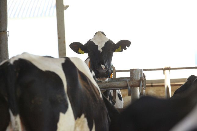 � ���������� ������ ����� �� ��������� ������ �� ������������