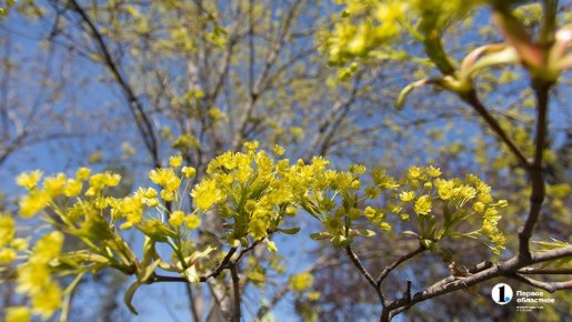 �� +19 ���������� ������ � ����������� ������� 20 ������