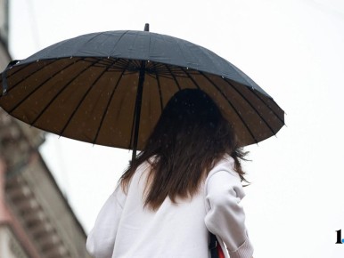 ����� � ������� ����� ���� ������� ����������� ������� 23 ������