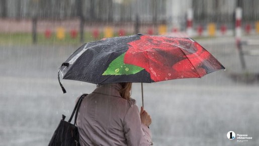 ������� ����� ������� � ����������� ������� 24 ������