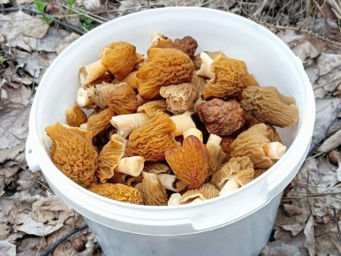 �������� ����� ����� ������� ������� ����� � ����������� �������