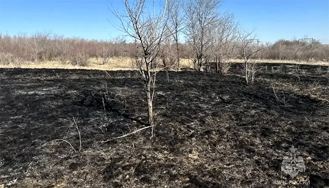 Около 1 тыс. ландшафтных пожаров произошло этой весной в Челябинской области